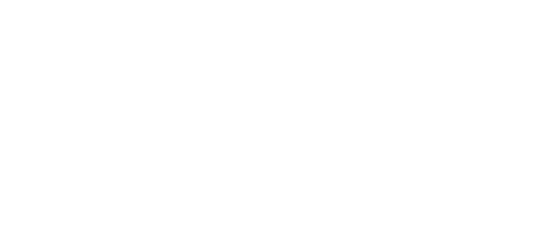 Logo-LaeLia-Conseil-Blanc